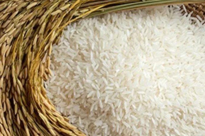 basmati-rice-suppliers-big-0