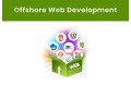 offshore-web-development-services-triazinesoft-small-0