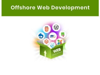 Offshore Web Development Services | Triazinesoft