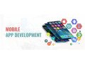 mobile-app-development-services-triazinesoft-small-0