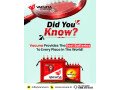 vacuna-battery-for-solar-inverter-vehicle-use-small-0