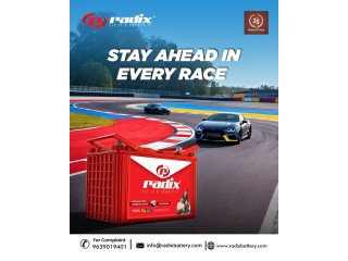 Radix Battery – Automotive Battery Manufacturers Meerut