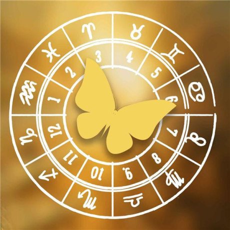 kundli-doshas-remedies-in-astrology-remove-every-planetary-obstacle-from-your-life-big-0