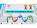 top-bis-consultant-in-noida-small-0