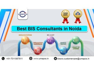 Top BIS consultant in Noida