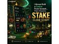 dont-build-from-scratch-launch-with-stake-clone-script-small-0
