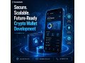 launch-a-powerful-crypto-wallet-built-for-growth-small-0