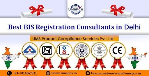 what-type-of-services-do-bis-consultant-in-delhi-offer-big-0