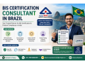 bis-registration-consultant-in-brazil-small-0