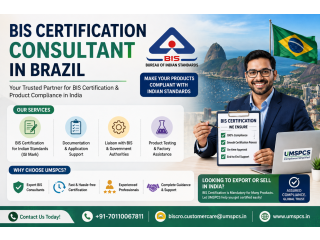 BIS Registration Consultant in Brazil